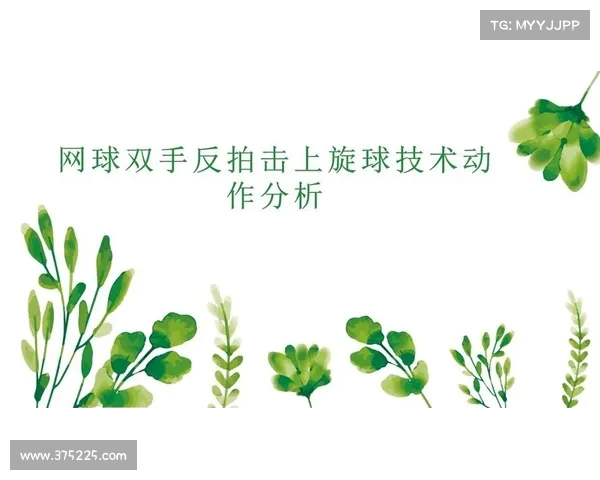提升网球比赛回球成功率的策略与技术分析 提升网球比赛回球成功率的策略与技术分析